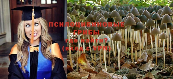 герыч Бугульма