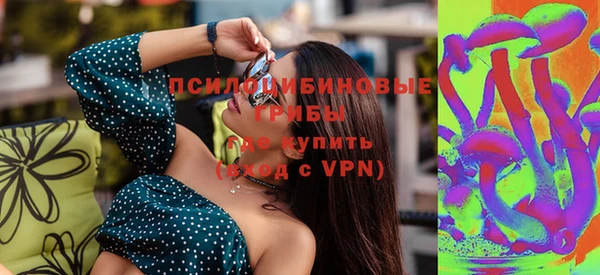 ешки Бронницы