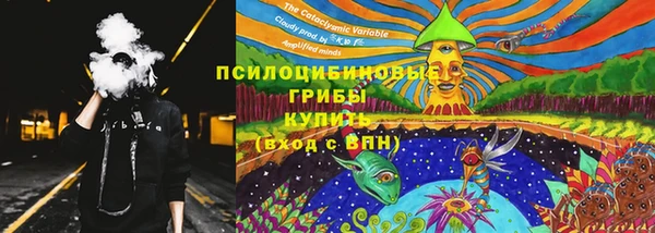 ешки Бронницы