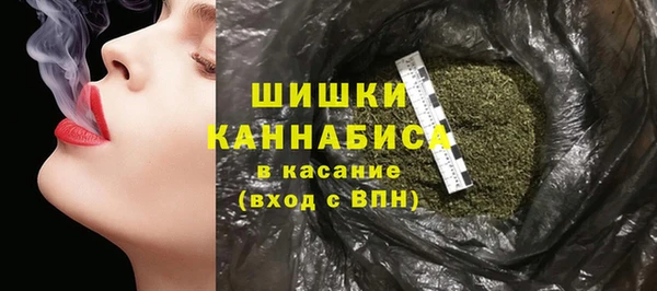 гидропоника Бородино