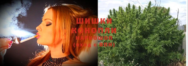 ешки Бронницы