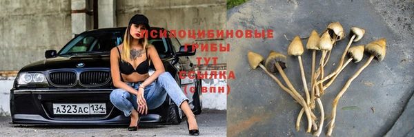гидропоника Бородино