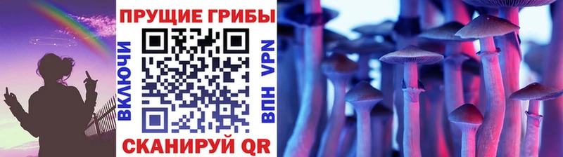 где купить наркоту  Бердск  Галлюциногенные грибы мухоморы 